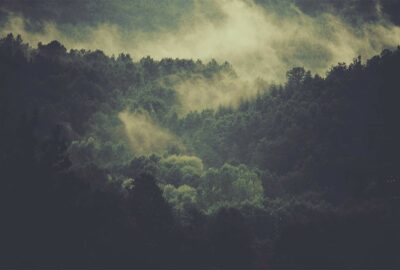 Cassava Republic Press