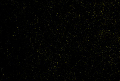 Cassava Republic Press