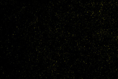 Cassava Republic Press