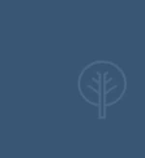 Cassava Republic Press