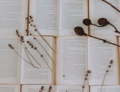 Love in Literature: Reading Love in Literature