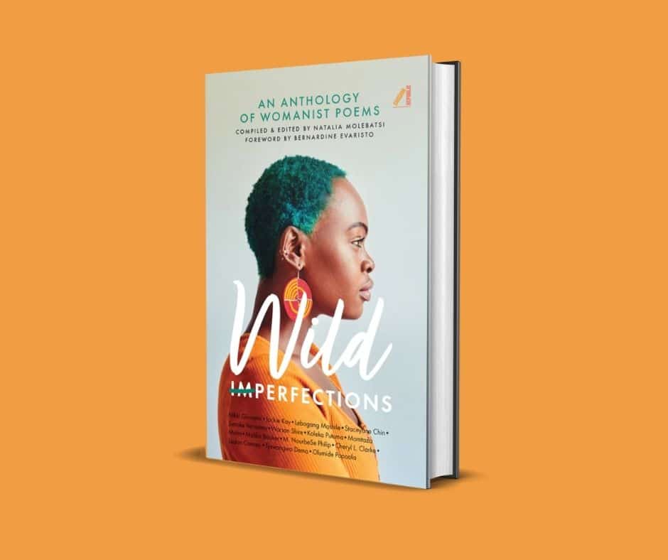 Wild Imperfections Book Cover on Orange Background